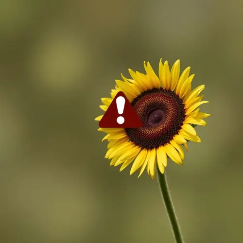 Placeholder alt text: Article content not provided.