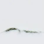 Error: No article content provided to describe an image.