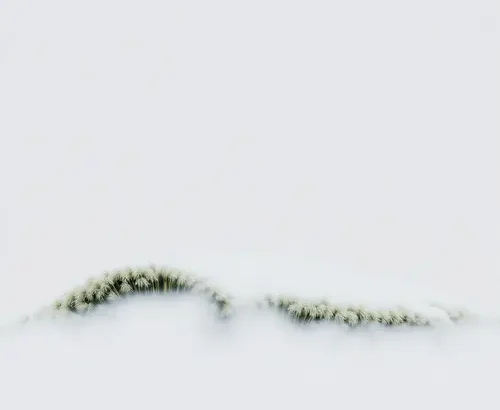 Error: No article content provided to describe an image.