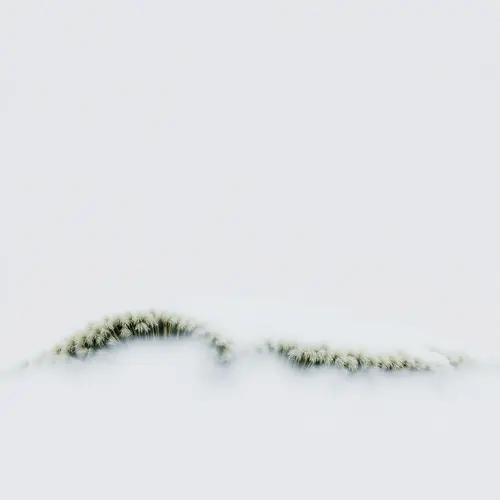 Error: No article content provided to describe an image.